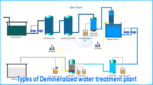 Dm Plant